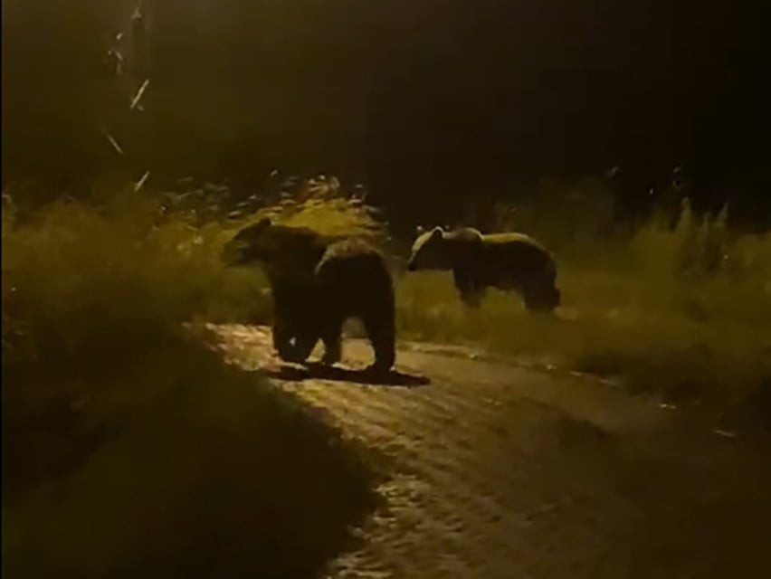 YOZGAT’IN ÇAYIRALAN İLÇESİNE BAĞLI KALETEPE KÖYÜNDE ÇİFTÇİLİK VE HAYVANCILIKLA UĞRAŞAN DURMUŞ ALİ...