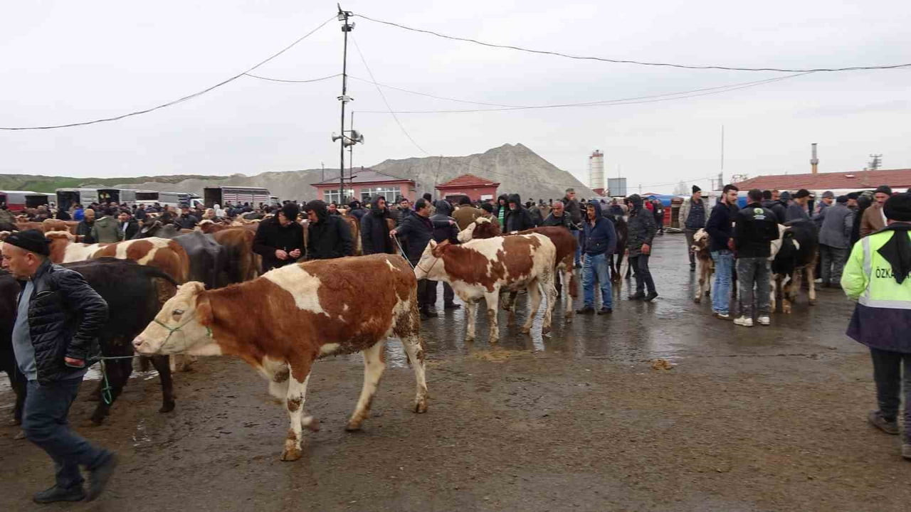 YOZGAT’IN SORGUN İLÇESİNDE BULUNAN CANLI HAYVAN PAZARI ÜRETİCİ VE ALICILARI BULUŞTURUYOR.