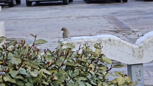 Yozgat’ta nisan ayında kar sürprizi