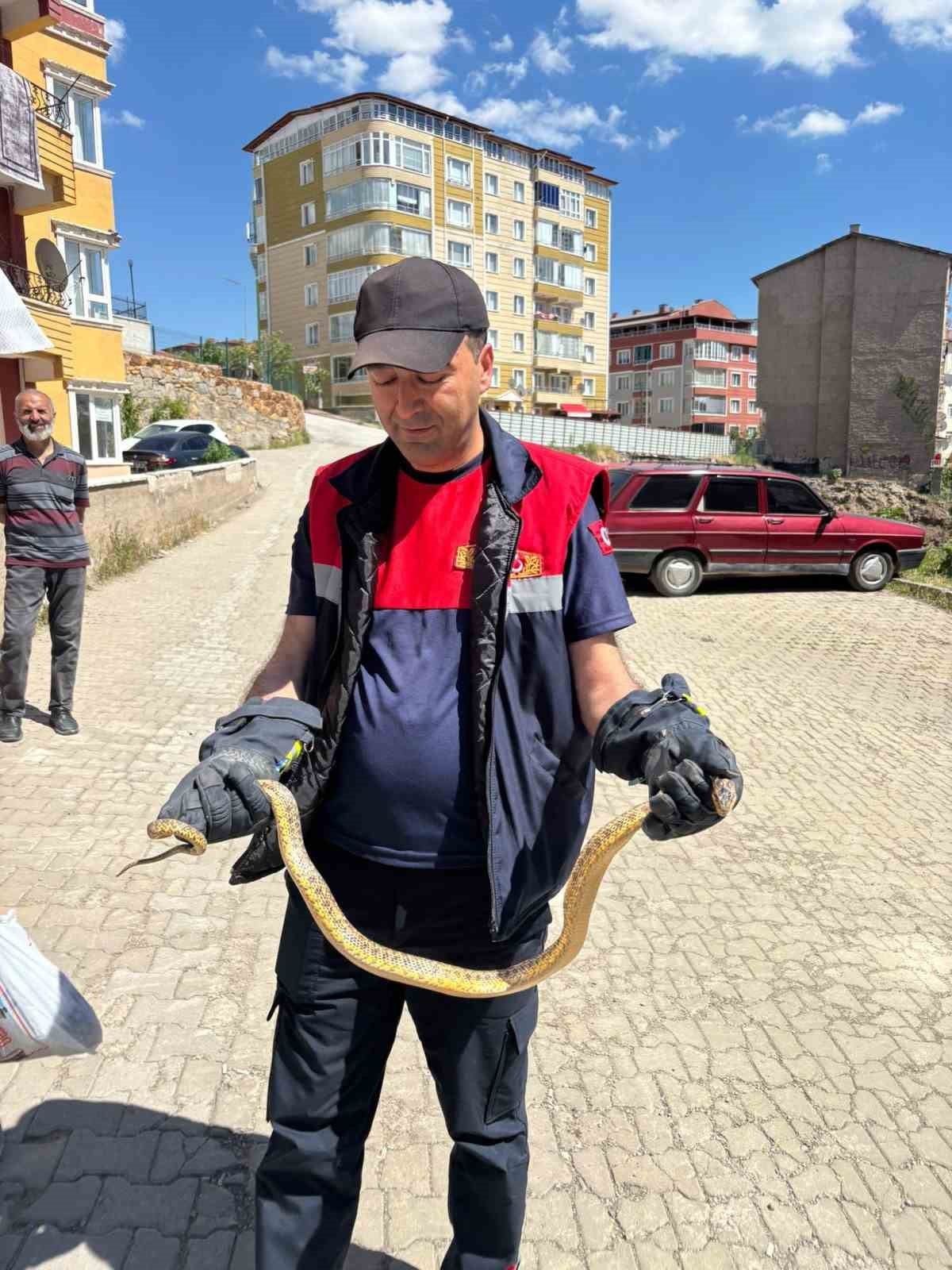 YOZGAT’TA OTOMOBİLİN MOTOR BÖLÜMÜNE GİREN YILAN İTFAİYE EKİPLERİNCE ÇIKARILDI.-