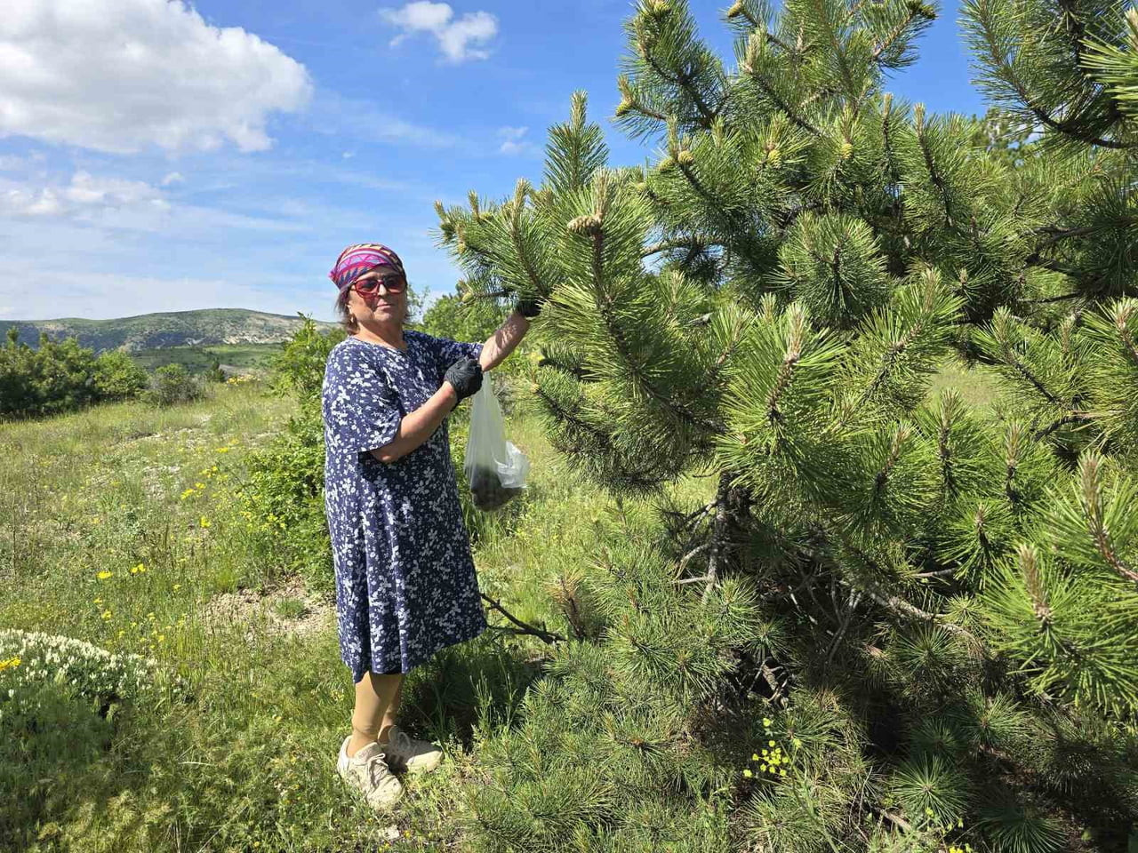 YOZGAT’TA YAŞAYAN YASİN ALİ ER VE MUTEBER HATUN ER ÇİFTİ, ARADIKLARI ŞİFAYI DOĞADA BULDU.-(MUTEBER...