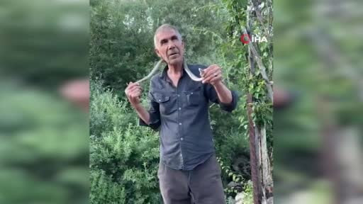 Zehirli engerek yılanını yakalayıp boynuna doladı: "Benim yaptığımı yapmayın"