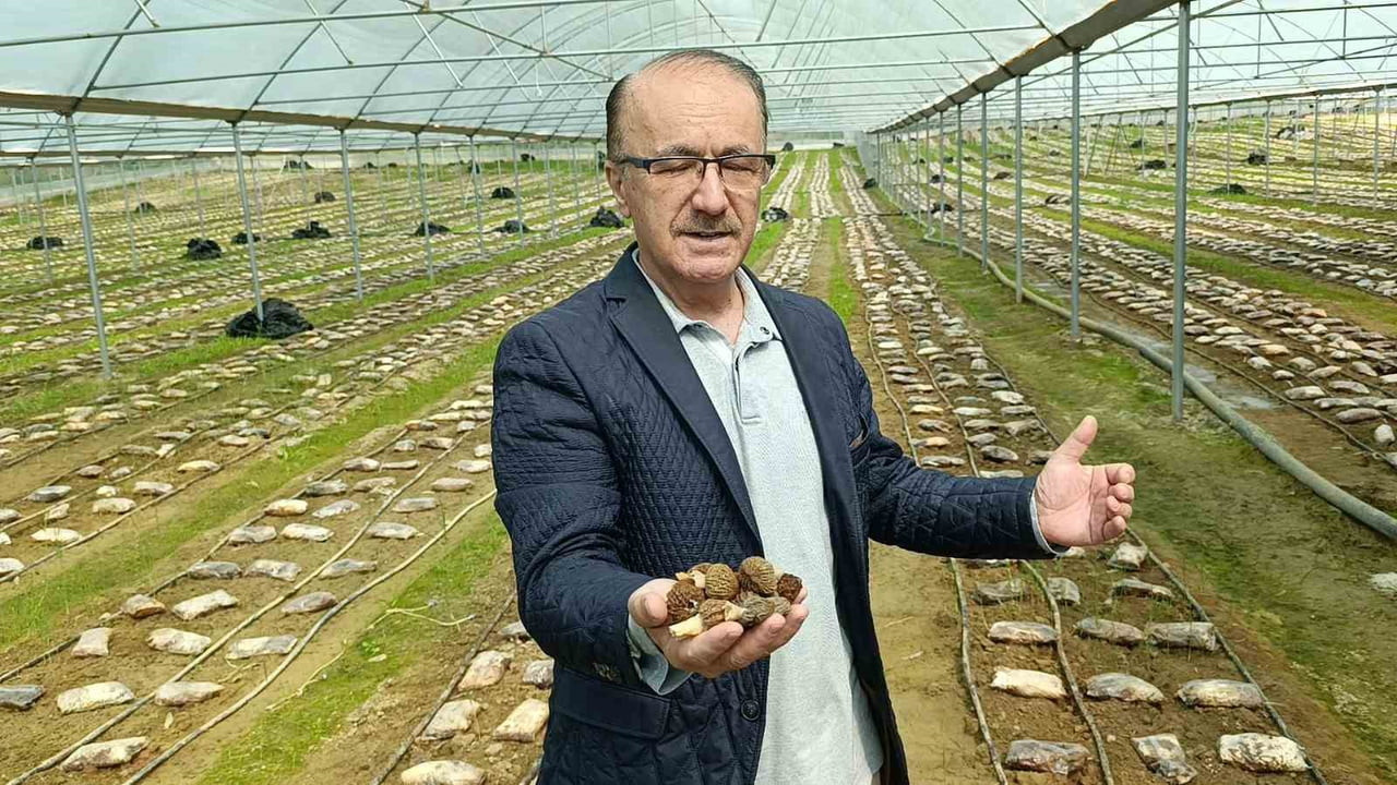 ZİRAAT MÜHENDİSİ ÖMER ŞAHİN