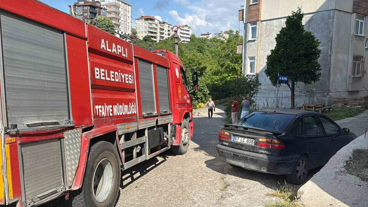 ZONGULDAK (İHA) - ZONGULDAK'IN ALAPLI İLÇESİNDE YEMEK YAPILIRKEN GAZ KAÇAĞI NEDENİYLE ALEV ALAN...