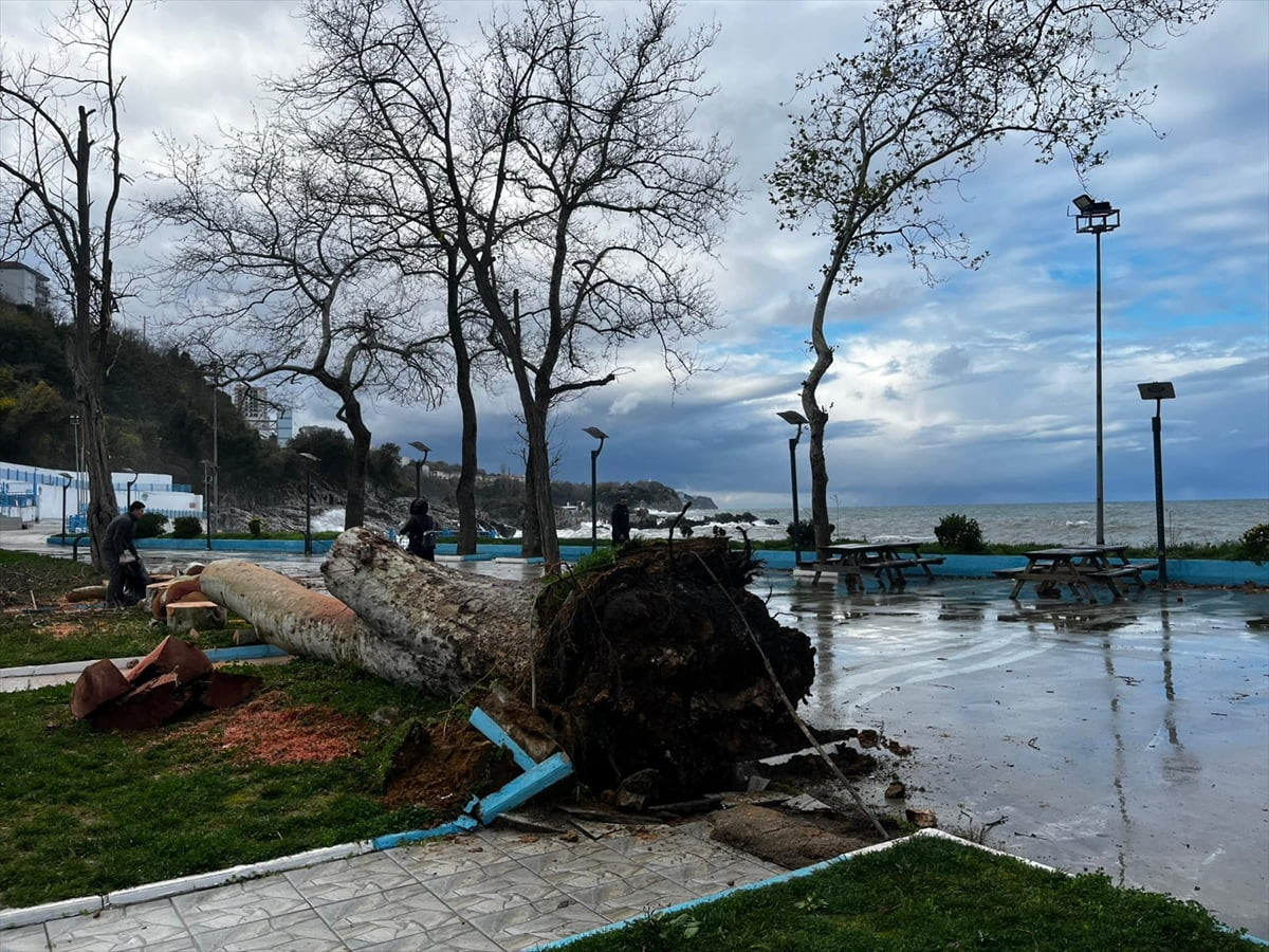 Zonguldak ve Düzce'de kuvvetli rüzgar etkili oldu. Zonguldak'ta etkili olan kuvvetli rüzgar...