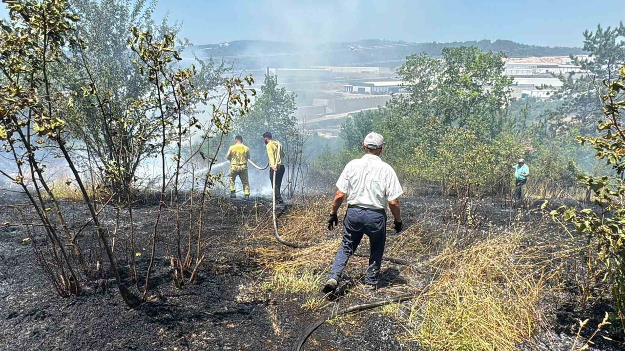 ZONGULDAK'IN ALAPLI İLÇESİNDE BİR VATANDAŞIN FINDIK BAHÇESİNDE YAKTIĞI ANIZ ATEŞİ KONTROLDEN...