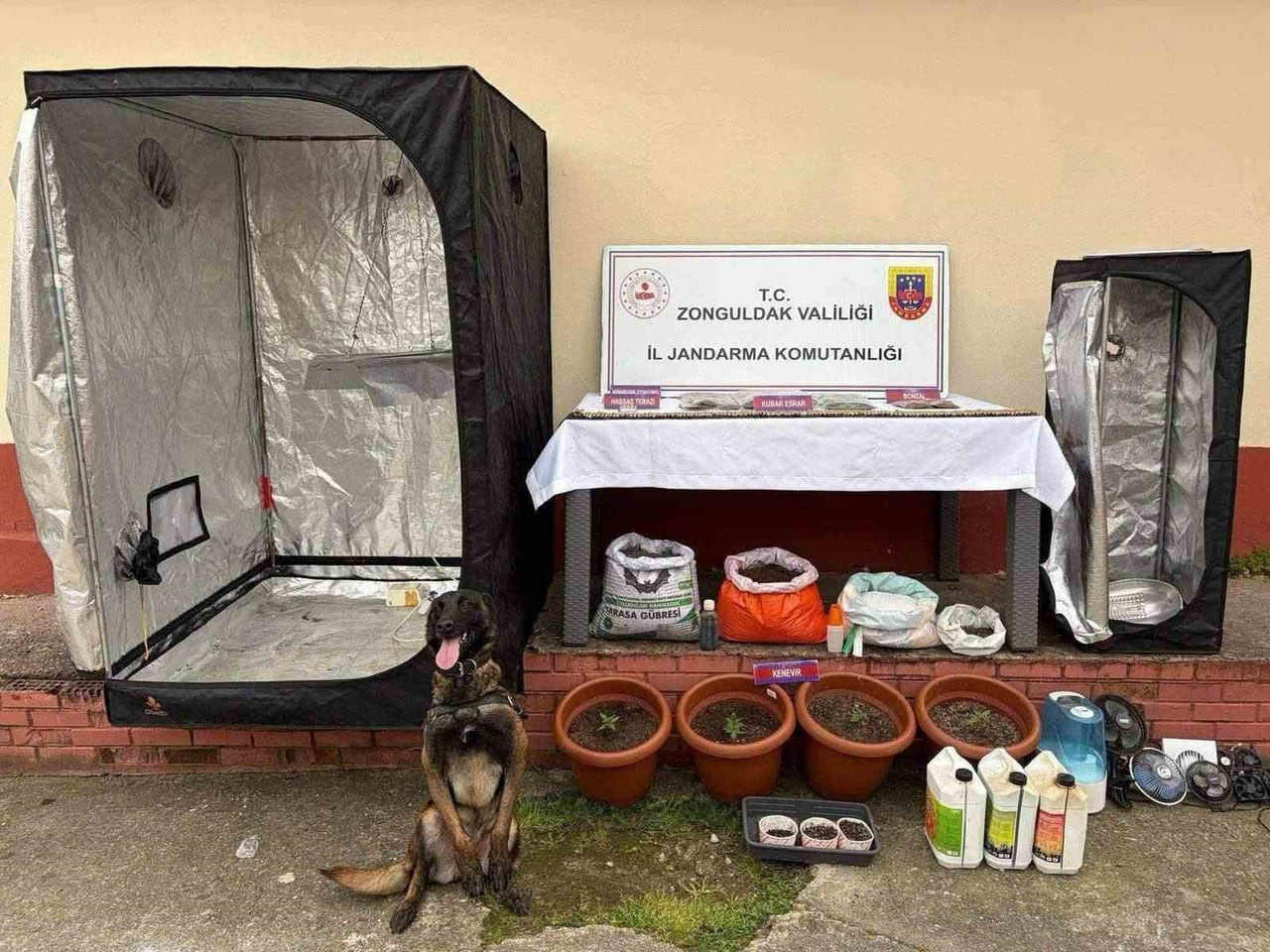 ZONGULDAK'IN ÇAYCUMA İLÇESİNDE JANDARMA EKİPLERİNCE DÜZENLENEN UYUŞTURUCU OPERASYONUNDA, EVDE...