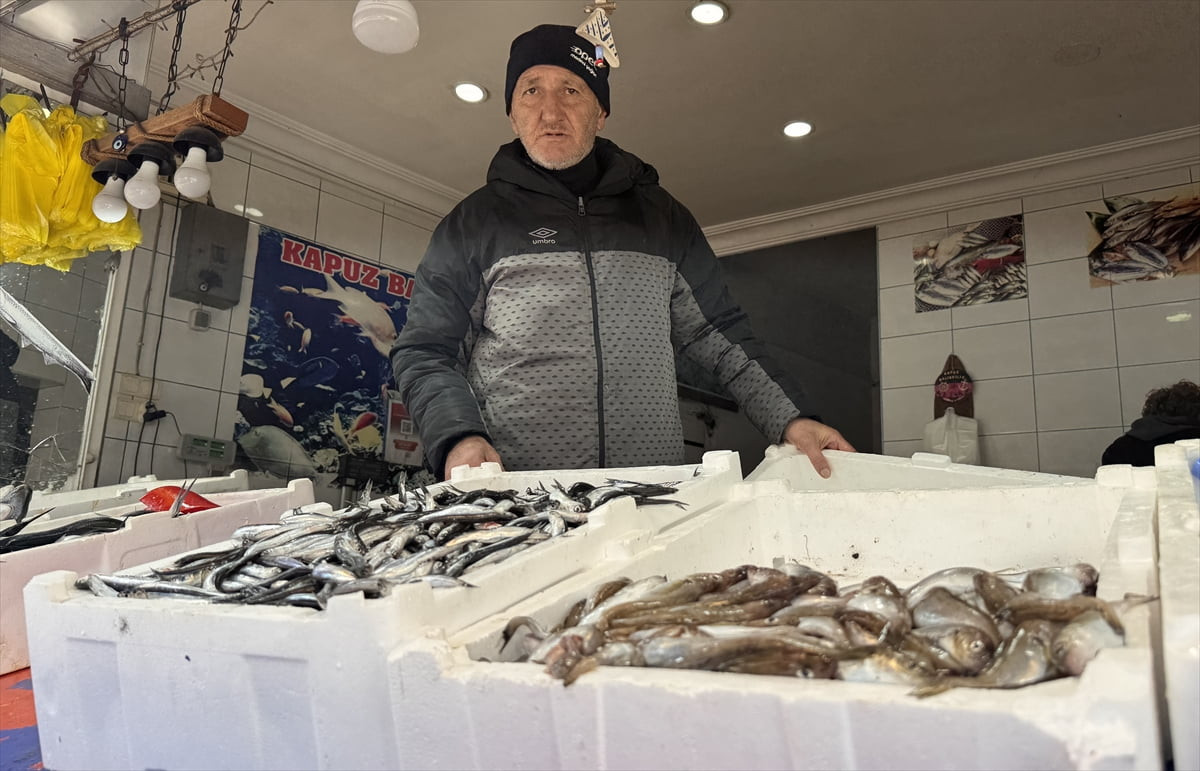 Zonguldak'ta balıkçılar, bu sezon istedikleri miktarda balık avlayamamanın hayal kırıklığını...