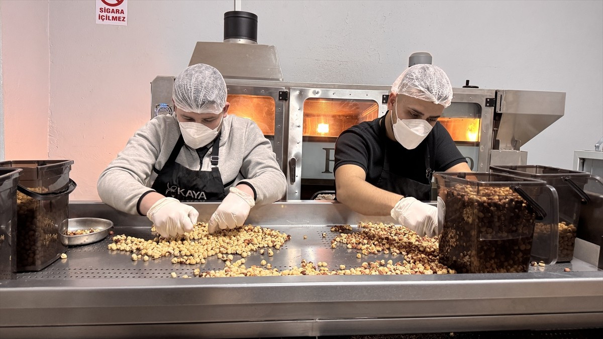 Zonguldak'ta, mimarlığı bırakıp ata mesleği fındık tüccarlığını sürdüren Samet Kaya, çocukluk...