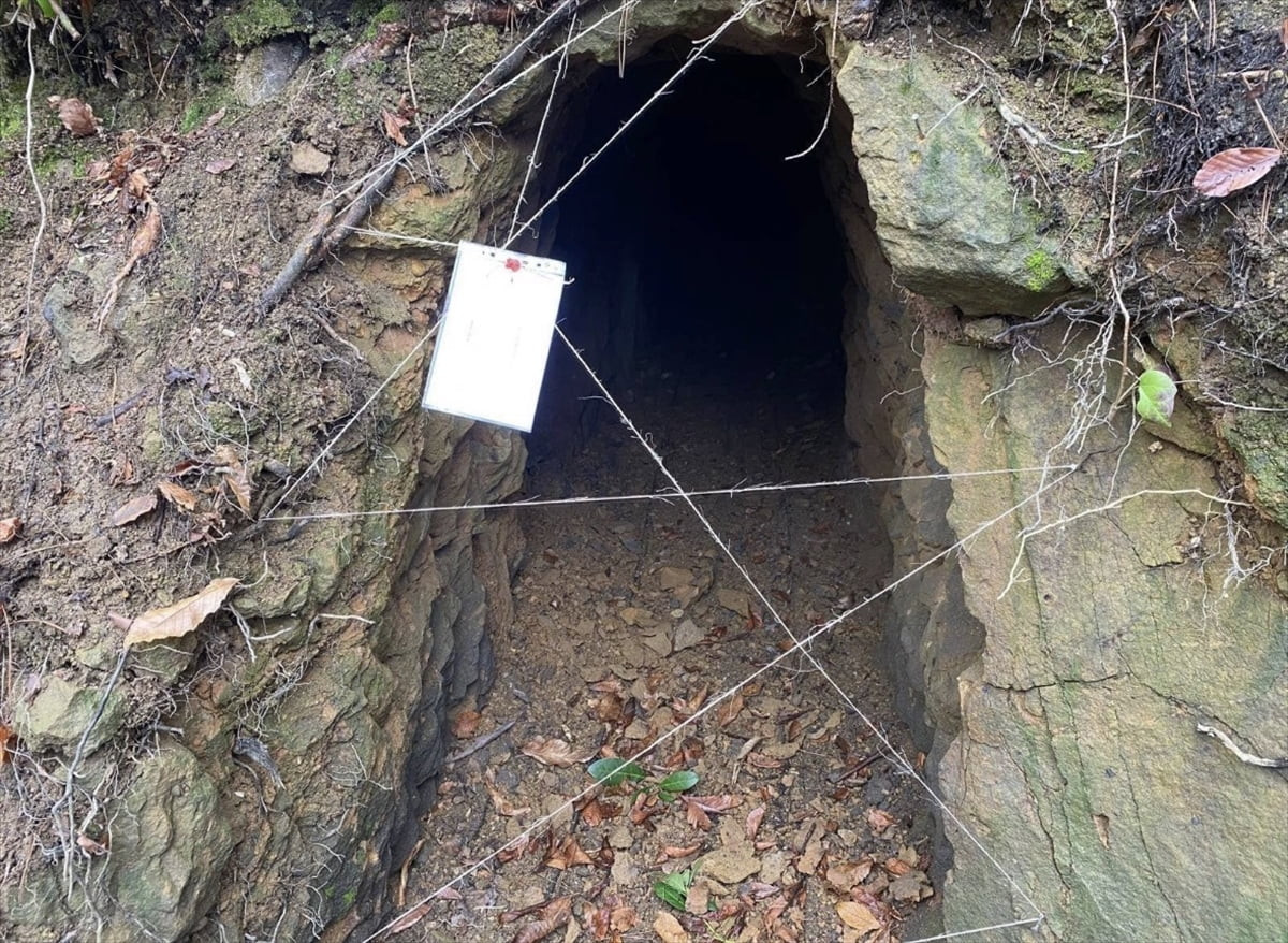 Zonguldak'ta ruhsatsız işletildiği belirlenen 11 maden ocağı kapatıldı. 