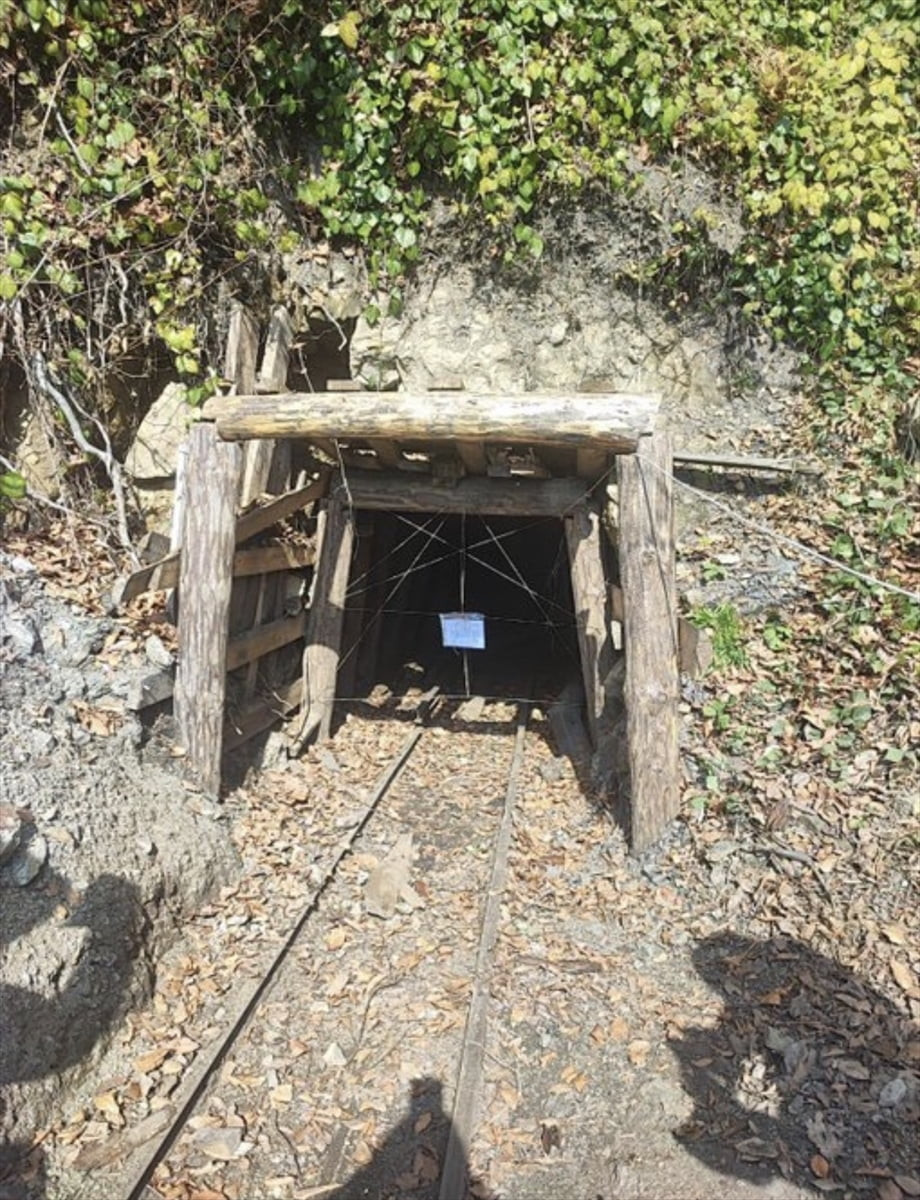 Zonguldak'ta ruhsatsız işletildiği belirlenen 8 maden ocağı kapatıldı.