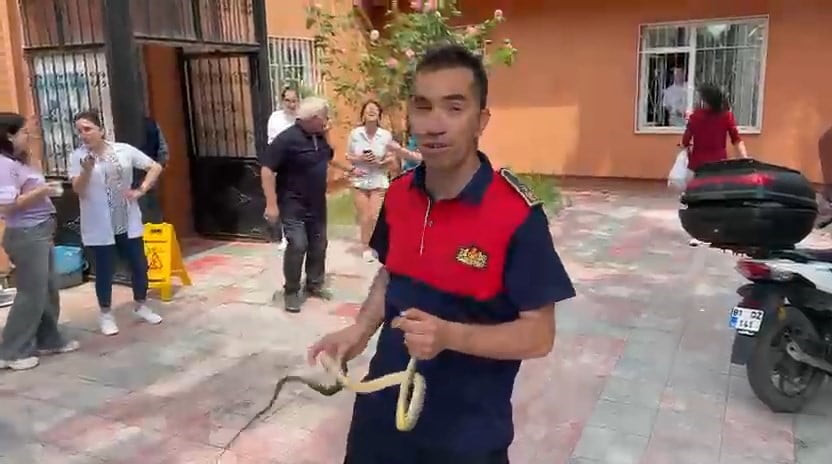 ZONGULDAK’IN ALAPLI İLÇESİNDE BULUNAN ALAPLI 1 NO’LU SAĞLIK OCAĞI’NA GİREN YILAN, SAĞLIK...