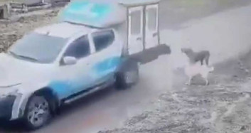 Belediye Aracıyla Vicdansızlık