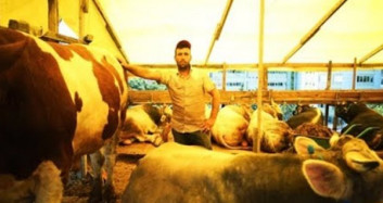Doğu İllerinden İstanbul'a Uzanan Meşakkatli Kurban Yolculuğu