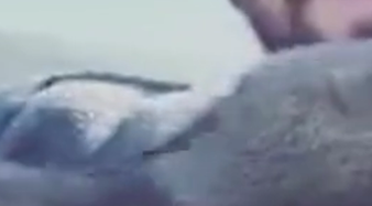 Yavru Ayıları Kendi Elleriyle Beslediler