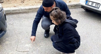 Adıyaman'da Tırtıl Sürüsünün Yolculuğu Dikkat Çekti