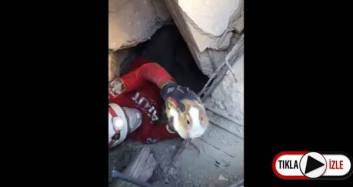 AKUT Enkaz Çalışmalarında Tavşanı Kurtardı
