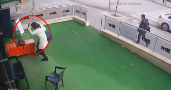 Ankara'da Kediye Şiddet! Canını Zor Kurtardı