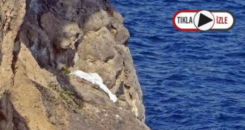 İddianın Sonu Ölümle Sonuçlandı