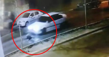Başıboş köpek çocuğa saldırdı! Kaçan çocuğa araba çarptı