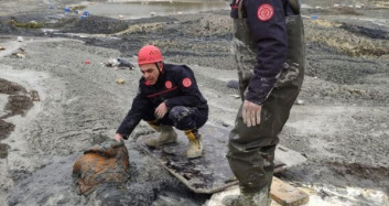 Polisten Kaçtı Batağa Saplandı