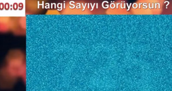 Bu Sayıyı Bil Bakalım!
