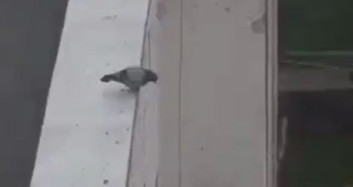 Böyle Veda Görülmedi!