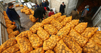 Cumhurbaşkanı Erdoğan'ın Verdiği Müjdeli Haberle Çiftçilerin Yüzü Güldü