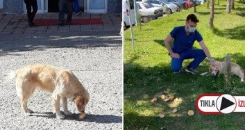 En Sadık Dostu Günlerdir Hastane Önünde Bekliyor!