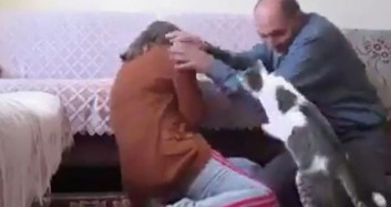 Eşine Şiddet Uygulayan Adamı Durduran Kedi!