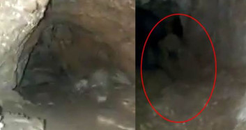 Mağara'da Esrarengiz Bir Canlı Görüldü