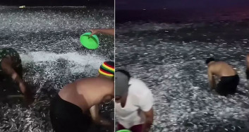 Filipinler'de hayrete düşüren anlar! Milyonlarca balık kıyıya vurdu: Kova kova topladılar! Kıyamet alameti...