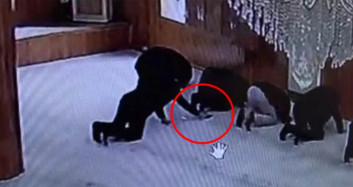 Gaziantep’te Namaz Sırasında Hırsızlık Anları