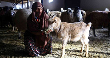 Gümüşhane’de Kadınlar Bileziklerini Bozup Kooperatifle Köylerini Kalkındırıyor