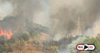 Hatay'daki Orman Yangını Yerleşim Alanlarına Sıçradı!