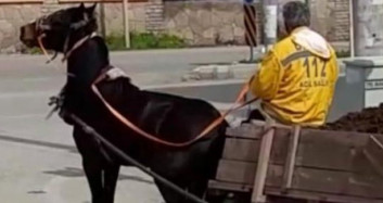 Hatay'da Yükü Çekemeyen Ata Şiddet