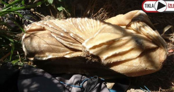 Falezlerde Bulunan Çantadan, Roma Dönemine Ait Heykel Çıktı 