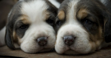 İçinizi Isıtacak Görüntüler!