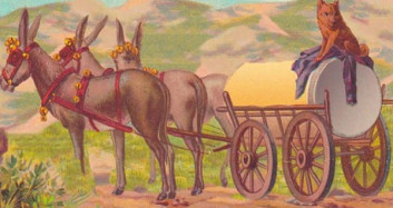 Fotoğraftaki İnsan Yüzünü Görebiliyor musunuz?