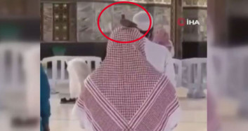 Kabe’de Sevimli Güvercin Namaz Kılan Kişinin Başından Ayrılmadı