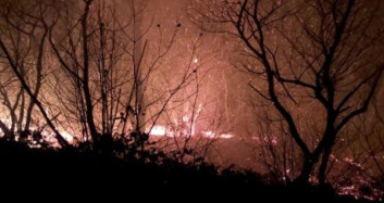 Karadeniz'de ki Yangınlarda Son Durum!