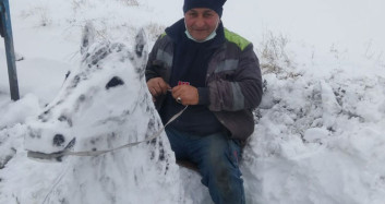 Kardan At Büstü Yaptı