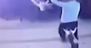 Kedi-Köpek Kavgasında Pantolonunu Kurtaramadı!