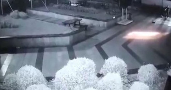 Cani Adam Yavru Kedileri Metrelerce Havaya Fırlattı