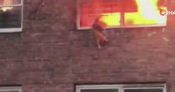 Alevler Arasında Kalan Kedi, Pencereden Atlayıp Kurtuldu