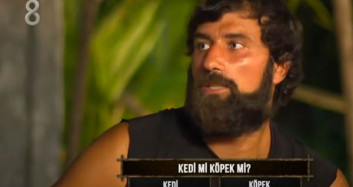 Survivor Yarışmacıları Kedi mi Yoksa Köpek mi Seviyor