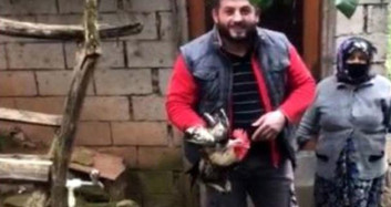 Kesilmek Üzere Olan Horoz Dile Geldi!