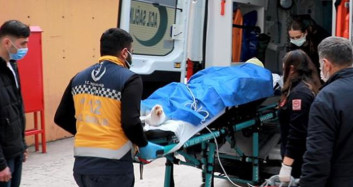 Kocaeli'de Kozalak Toplarken Bütün Vücudu Yandı