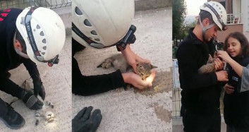 Kocaeli'de Yavru Kediyi Kalp Masajıyla Hayata Döndürdü!