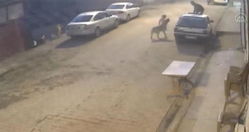 Köpek Havlayarak Yardım İstedi